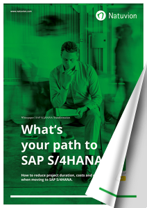 EN Downloads Whitepaper SDT