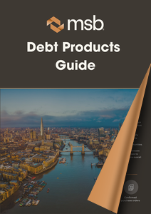 MSB - Debt Product Brochure